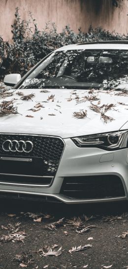 Audi A5, autumn, sports car Wallpaper 1080x2280