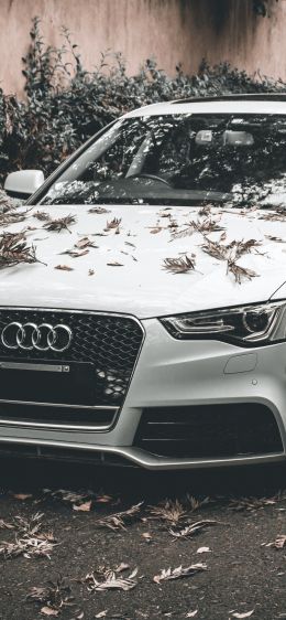 Audi A5, autumn, sports car Wallpaper 828x1792