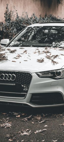 Обои 1440x3200 Audi A5, осень, спортивная машина