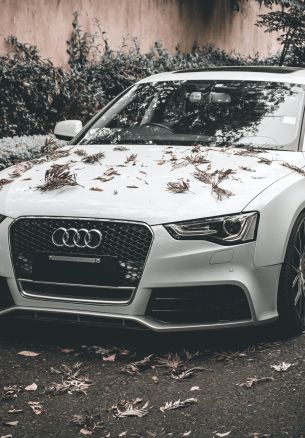 Audi A5, autumn, sports car Wallpaper 1640x2360