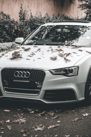 Audi A5, autumn, sports car Wallpaper 640x960