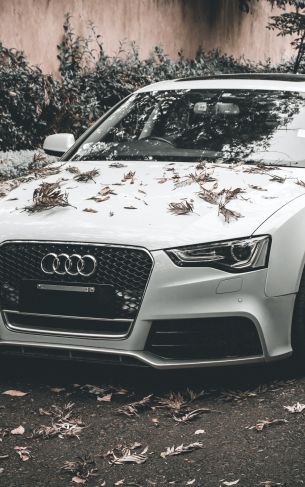 Audi A5, autumn, sports car Wallpaper 1752x2800