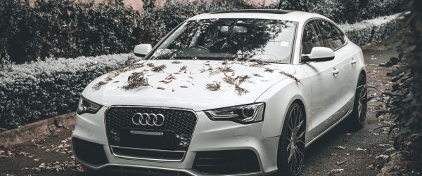 Audi A5, autumn, sports car Wallpaper 3440x1440