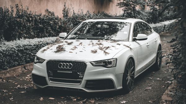 Audi A5, autumn, sports car Wallpaper 3840x2160