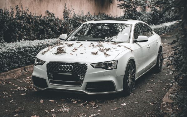 Audi A5, autumn, sports car Wallpaper 1920x1200