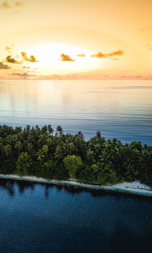 Maldives, island, sunset Wallpaper 1200x2000