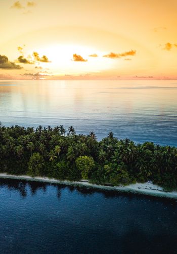 Maldives, island, sunset Wallpaper 1640x2360