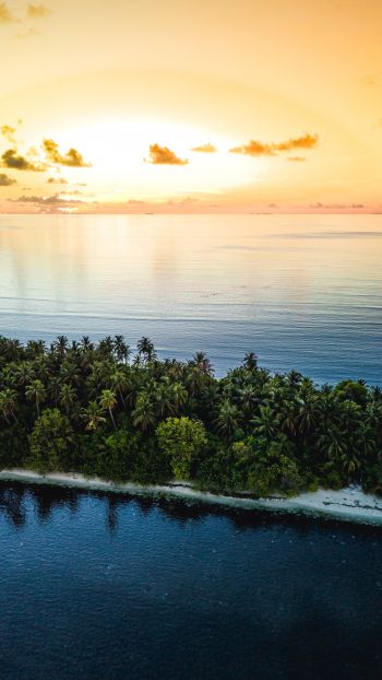 Maldives, island, sunset Wallpaper 1440x2560