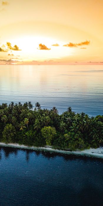 Maldives, island, sunset Wallpaper 720x1440