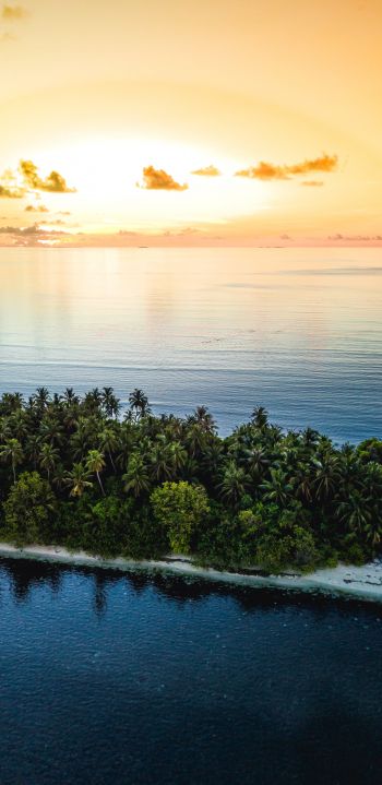 Maldives, island, sunset Wallpaper 1080x2220