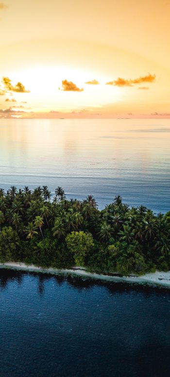 Maldives, island, sunset Wallpaper 1080x2400