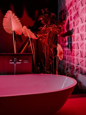 bath, interior, aesthetics Wallpaper 1668x2224