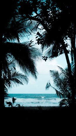 Costa Rica, beach, sea Wallpaper 1440x2560