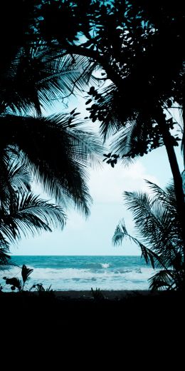 Costa Rica, beach, sea Wallpaper 720x1440