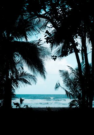 Costa Rica, beach, sea Wallpaper 1640x2360