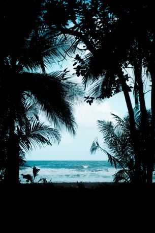Costa Rica, beach, sea Wallpaper 3627x5441