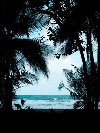 Costa Rica, beach, sea Wallpaper 1668x2224