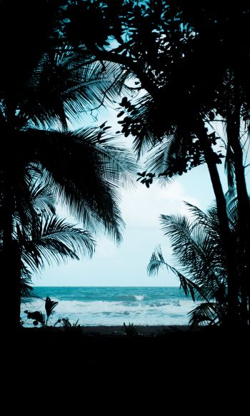 Costa Rica, beach, sea Wallpaper 1200x2000