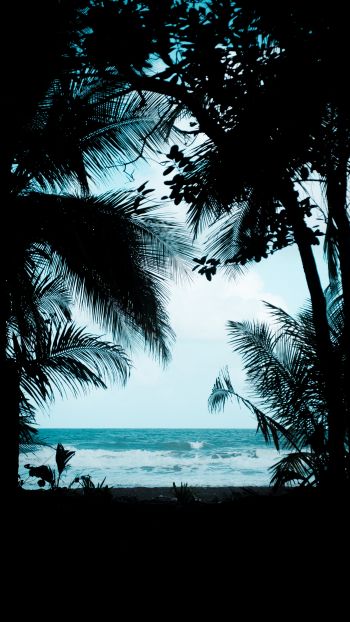 Обои 1080x1920 Коста-Рика, пляж, море