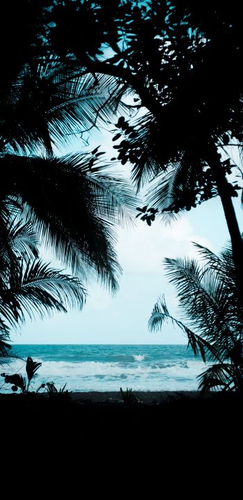 Costa Rica, beach, sea Wallpaper 1080x2220
