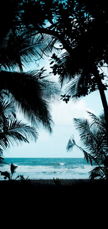 Costa Rica, beach, sea Wallpaper 720x1520