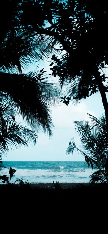 Costa Rica, beach, sea Wallpaper 828x1792