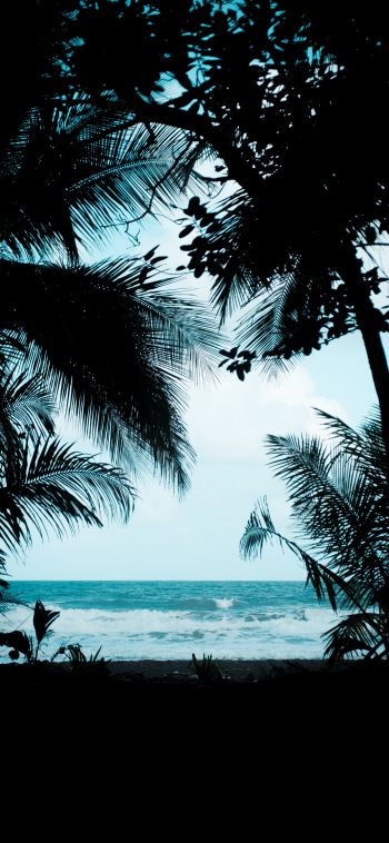 Costa Rica, beach, sea Wallpaper 1080x2340