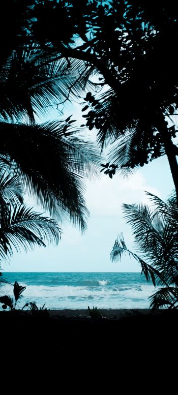 Costa Rica, beach, sea Wallpaper 1080x2400