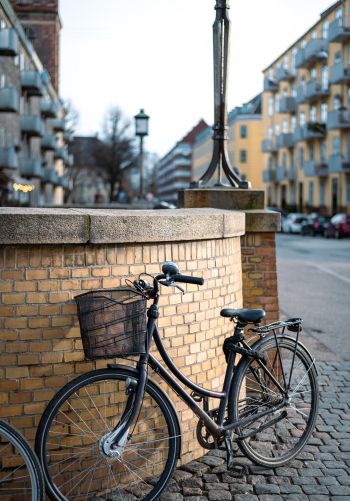 bicycle, Copenhagen, Denmark Wallpaper 1668x2388