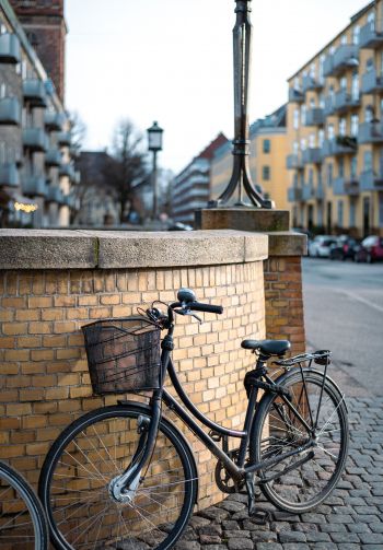 bicycle, Copenhagen, Denmark Wallpaper 1640x2360