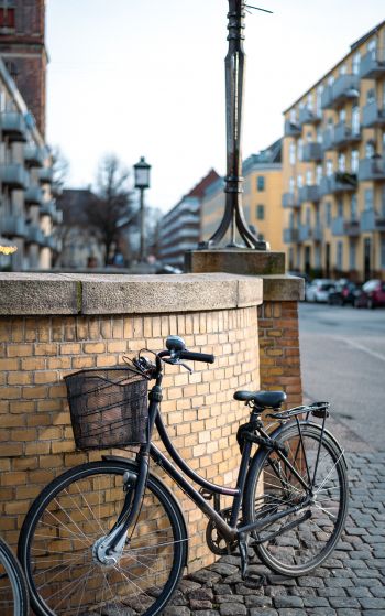 bicycle, Copenhagen, Denmark Wallpaper 1752x2800