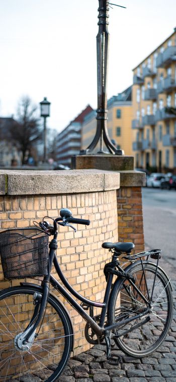 bicycle, Copenhagen, Denmark Wallpaper 1284x2778