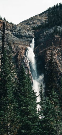 waterfall, landscape, forest Wallpaper 1080x2340