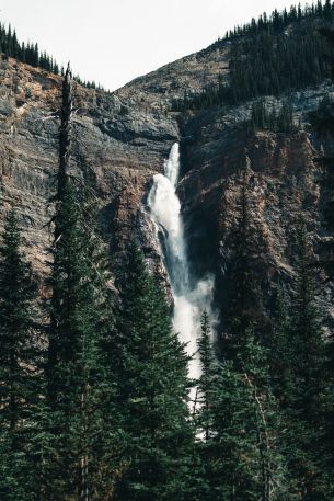 waterfall, landscape, forest Wallpaper 640x960