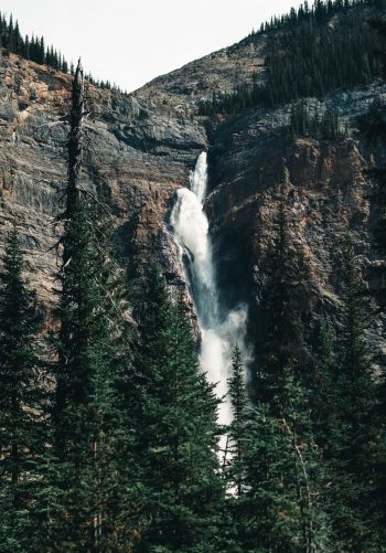 waterfall, landscape, forest Wallpaper 1668x2388