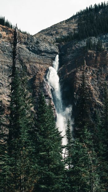 waterfall, landscape, forest Wallpaper 640x1136