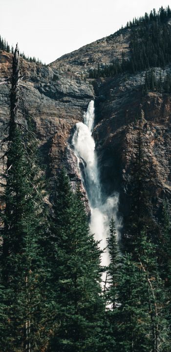 waterfall, landscape, forest Wallpaper 1080x2220