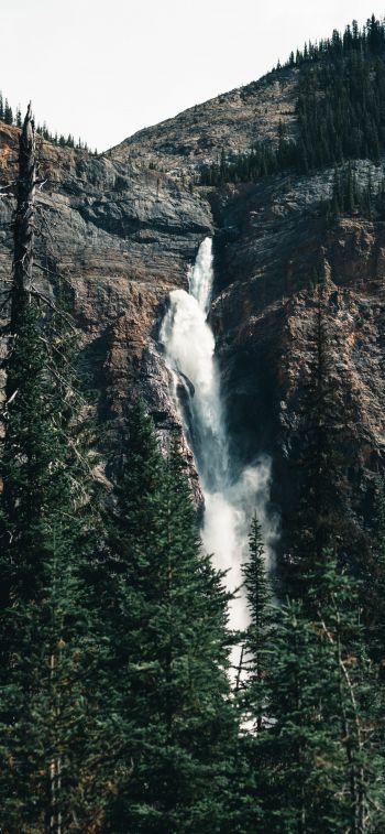 waterfall, landscape, forest Wallpaper 828x1792