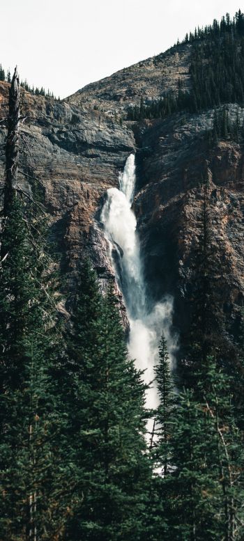 waterfall, landscape, forest Wallpaper 1440x3200