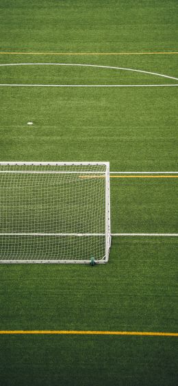 soccer field, lawn Wallpaper 828x1792