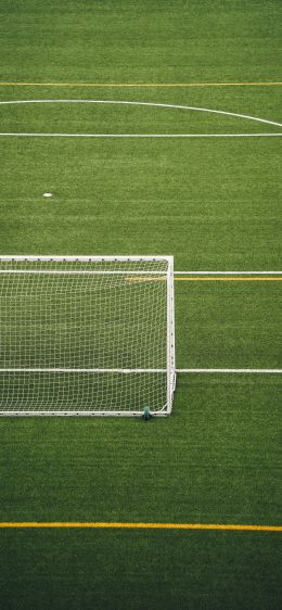 soccer field, lawn Wallpaper 1170x2532