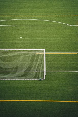 soccer field, lawn Wallpaper 640x960