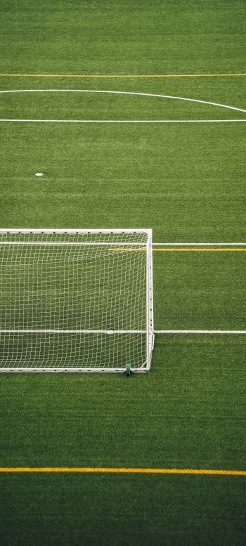 soccer field, lawn Wallpaper 1440x3200