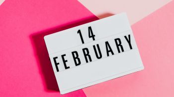 february 14, Valentine's Day, pink Wallpaper 1600x900