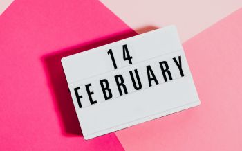 february 14, Valentine's Day, pink Wallpaper 2560x1600