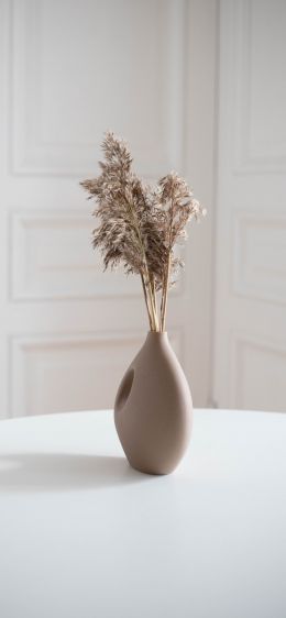 aesthetic beige, interior, vase Wallpaper 1170x2532