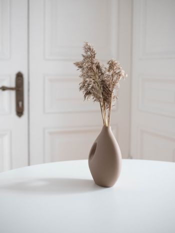 aesthetic beige, interior, vase Wallpaper 2048x2732