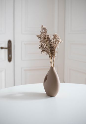 aesthetic beige, interior, vase Wallpaper 1640x2360