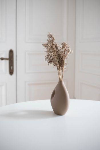 aesthetic beige, interior, vase Wallpaper 640x960