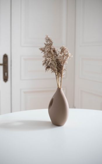 aesthetic beige, interior, vase Wallpaper 1600x2560